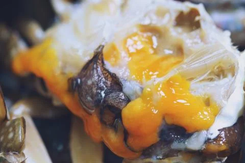 Close up of Crab paste and crab egg on king crab shell. In seafood market in Stock Photos