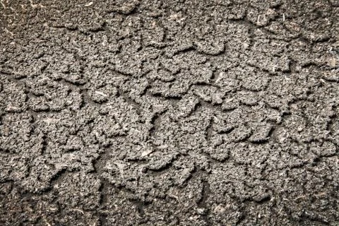 Close up crack of dry soil texture Stock Photos