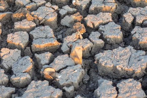Close Up of Cracked Dry Earth Stock Photos