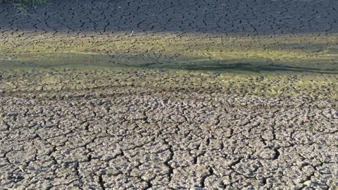 A close-up of a cracked, dry riverbed with remnants of water, symbolizing d.. Stock Footage 315890588