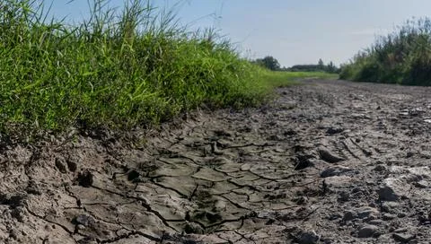 Close up of cracked earth during drought in summer time Foto stock