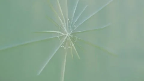 Close-up of cracked glass surface with abstract fracture pattern, concept of Stock Footage 335749359