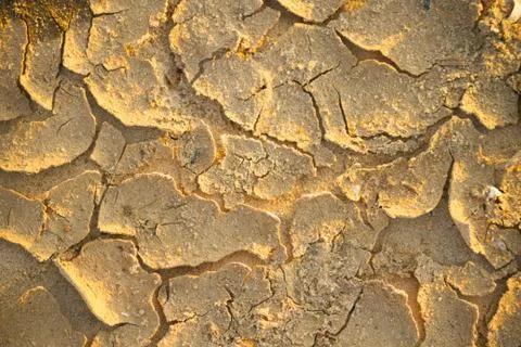 Close up of cracked ground Stock Photos