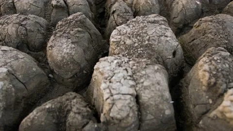 Close up of a cracked huge area of a very dried land suffering from drought. Stock Footage 141366176