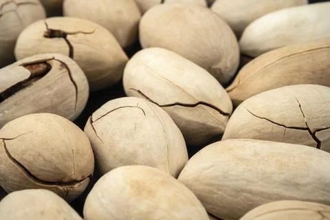 Close up Cracked pecans Nuts on black 写真素材