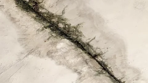 Close Up of Cracked Roof Surface with Mold Growth and Moisture Stains Stock Footage 344582733