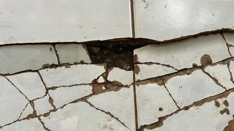 Close-up of cracked white ceramic tile surface with damaged grout lines Stock Photos