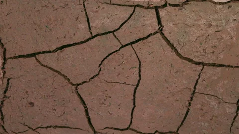 Close of cracking earth in drought situation, 4K. Stock Footage 244486331