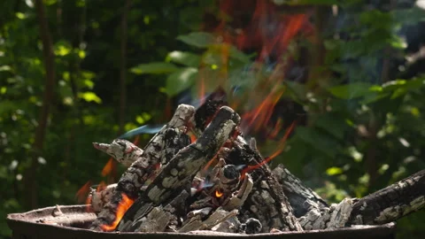 Close up of a Crackling Backyard Campfire Burning with Glowing Embers and Smoke Video stock 337424772
