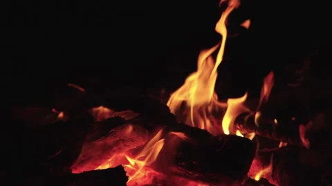 Close Up Of Crackling Campfire Flames Against Dark Night Background Stock Footage 310232735