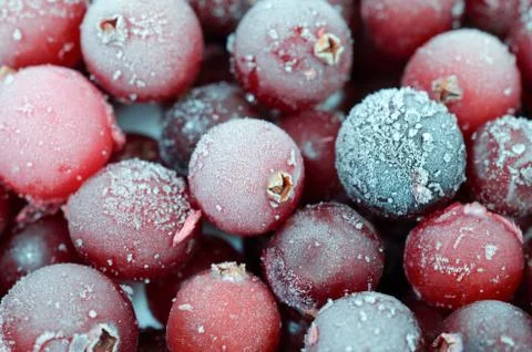 Close up of cranberries Foto stock
