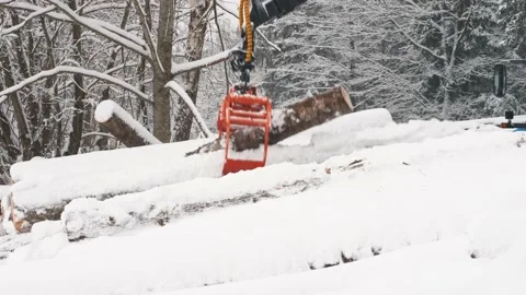 A close-up crane tries to capture two logs at once in a winter forest Stock Footage 169548861