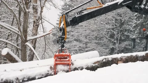 Close-up of a crane trying to grab logs in the snow and load them into a trailer Stock Footage 169548868