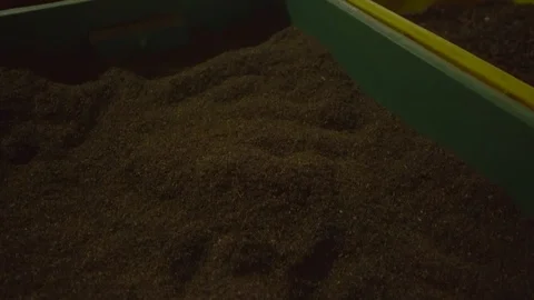 Close-up of Crates of dry tea leaves already process Stock Footage 107537090