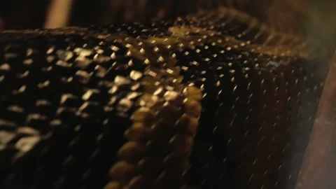 Close-up crawling python skin texture, you can see each scale close-up Stock Footage 143574876