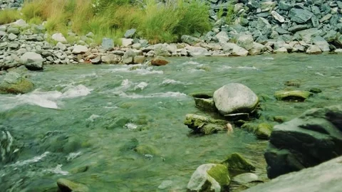 Up Close To A Creek in Alaska Stock Footage 162338219