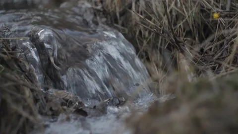 Close-Up of a creek Stock Footage 89740953