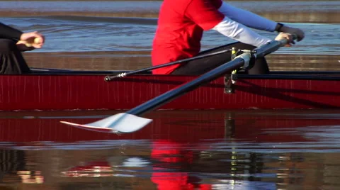 Close up of crew boat rowing in smooth water Vidéo 974806