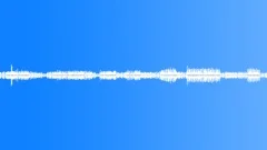 Close crickets in wheat loopSound Effect