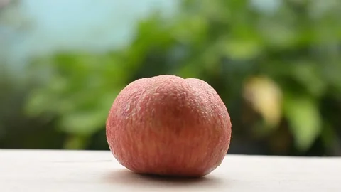 Close Up Of Crisp Red Apple Covered In Fresh Morning Dew Droplets Stock-Footage 342389272