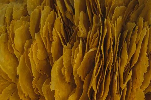 Close Up of Crispy Yellow Emping Crackers Background Foto stock