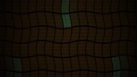Close up of crocodile skin texture. Stock Footage 335349093