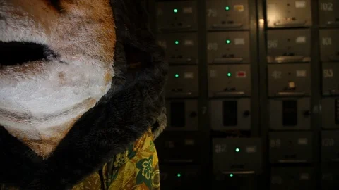 A close-up of the crooked teeth of a teddy bear, which is standing in the room Stock Footage 125005715