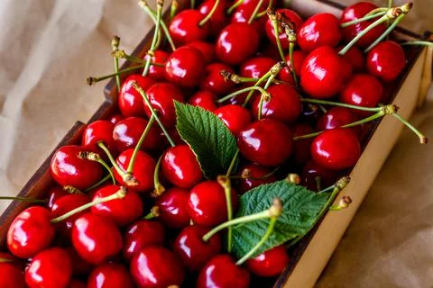 Close-up cropped box, crape of dark red sweet cherries with tail and leaves o Stock Photos