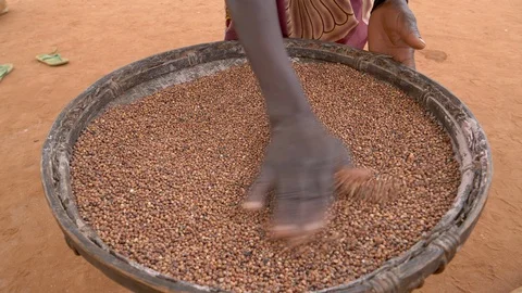 Close-up cropped view of a woman's hands sifting sorghum, Zimbabwe Stock Footage 112877424