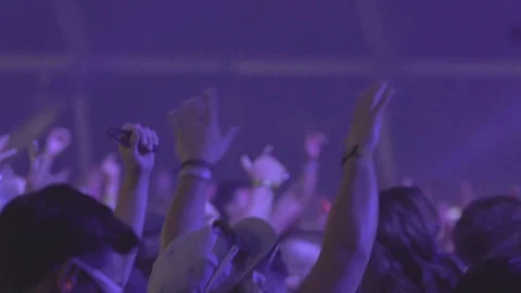 Close up Crowd Dancing During Concert Stock Footage 116998753