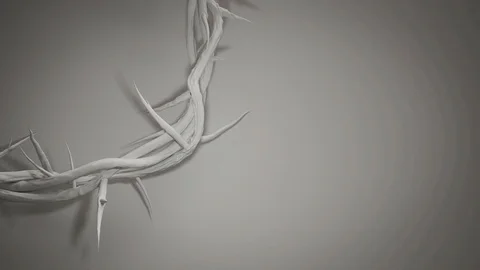 Close up Crown of Thorns with Empty Space 3D Looping Animation Stock Footage 87365388