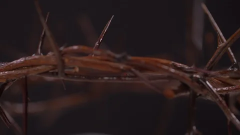 Close Up of Crown of Thorns Rotating on Black Background Stock Footage 129643053