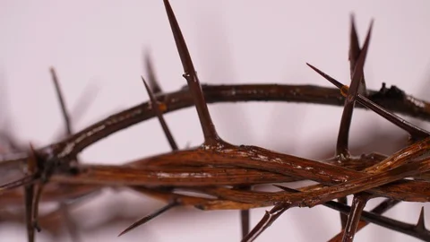 Close Up of Crown of Thorns Rotating. Stock-Footage 129646112