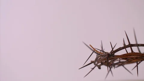 Close Up of Crown of Thorns Rotating on Right, White Background 스톡 동영상 129687062