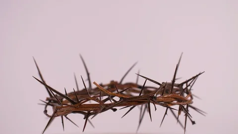 Close Up of Crown of Thorns Spinning on White Background Stock-Footage 129646883