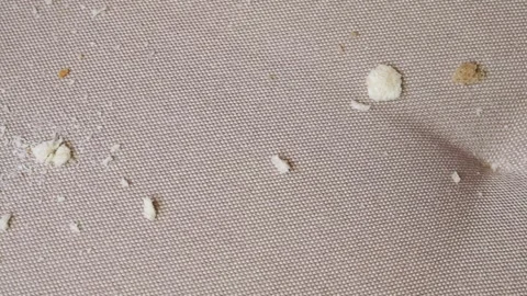 Close-up of crumbs on the sofa 動画素材 321882409
