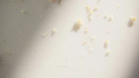 Close-up of Crumbs on a White Surface Stock Footage 296159285