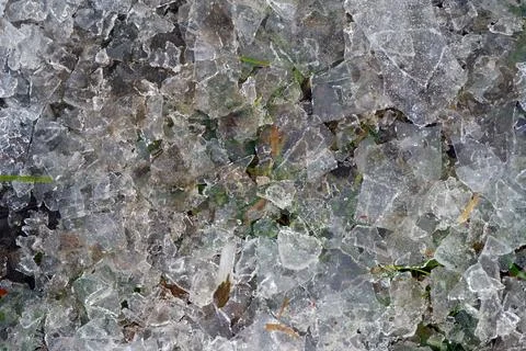 Close-Up of Crushed Ice with Grass Stock Photos