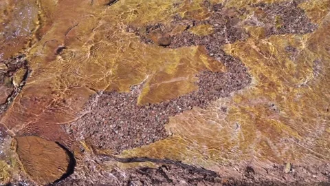 Close Up Crystal Clear Creek  Stock Footage 157992906