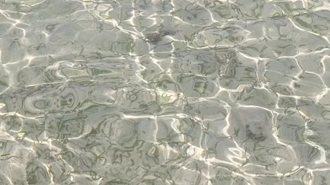 Close-up of crystal clear shallow sea wate Stock Footage 319004896