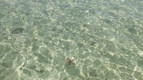 Close-up of crystal clear shallow sea water Stock Footage 319004943