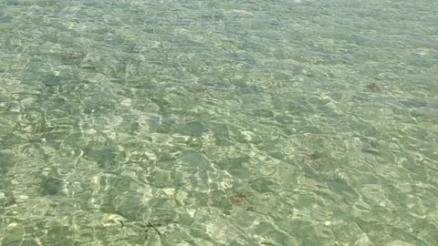 Close-up of crystal clear shallow sea water Stock Footage 319004945