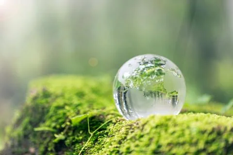 Close up of crystal globe resting on grass in a forest - environment concept Stock Photos
