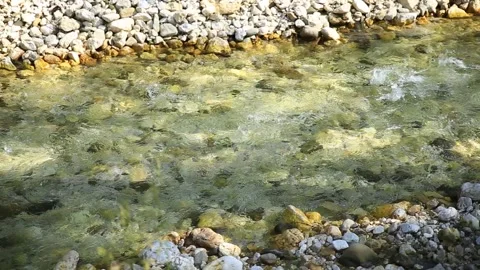 Close-up of crystal stream running in the valley in Dolomites, Italy 스톡 동영상 284463090