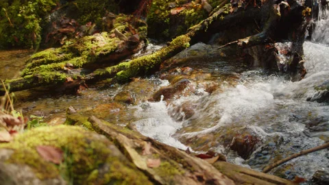 Close-up of crystal water stream cascading from the mountains. creek flows and Stock Footage 204050978