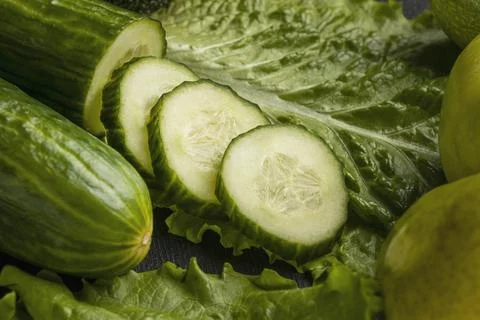 Close up cucumber slices with celery Resolution and high quality beautiful photo Stock Photos