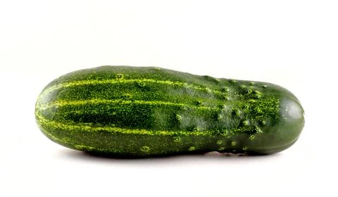 Close-up of a cucumber on a white background. Stock Photos