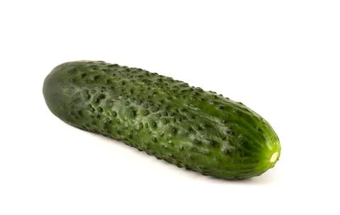 Close-up of a cucumber on a white background. Stock Photos