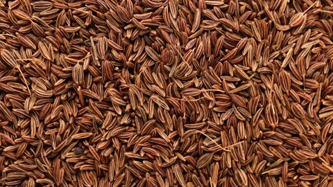 Close up of cumin, rotation in circle. Stock Footage 237233063