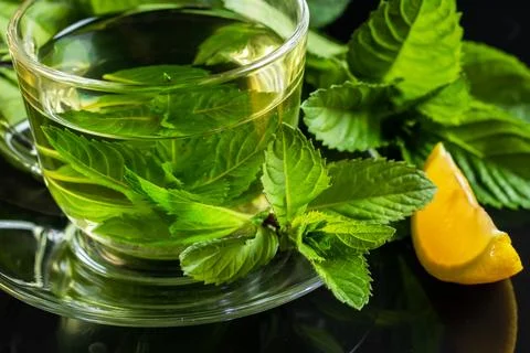 Close-up cup of mint tea with fresh leaf of mint and lemon. Stock Photos